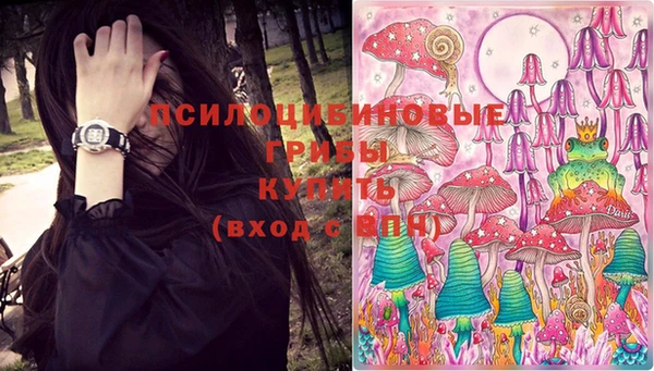 мдпв Калининец