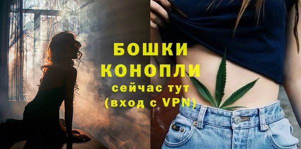 мдпв Калининец