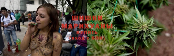 мдпв Калининец