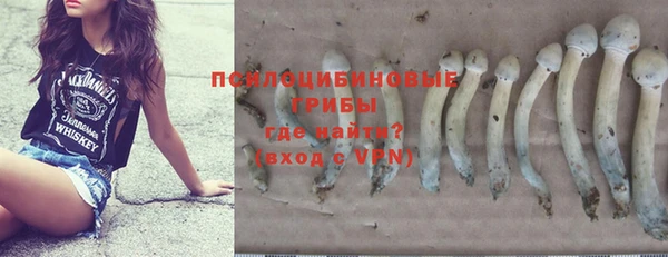 мдпв Калининец